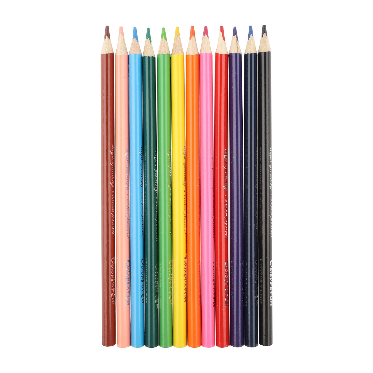 Twelve color pencils arranged in a row showing full color spectrum.